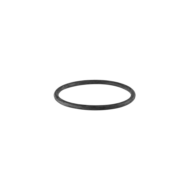 O-ring til 2" pumpe