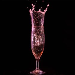 Champagneglas 17 cl. (4-pak)