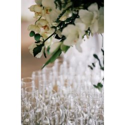 Champagneglas 17 cl. (4-pak)