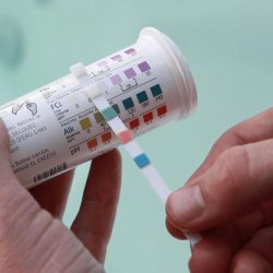 Freshwater 5-way teststrips 